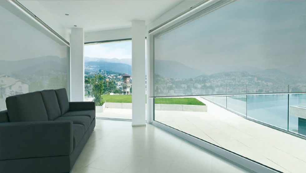 Screen blinds