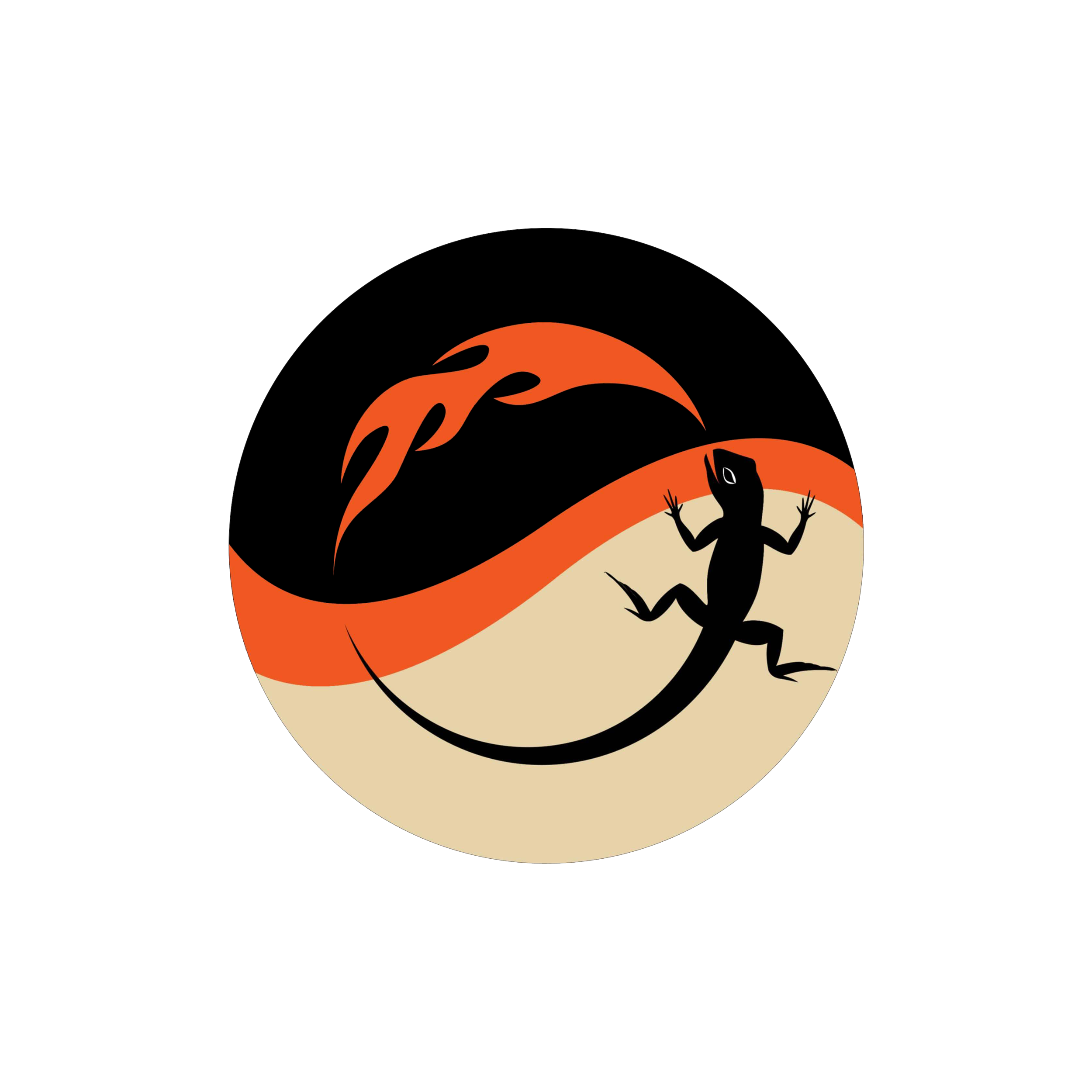 AMCF Logo 1000px by 1000px.png