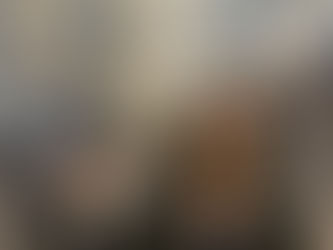 Kristi Noem Reassigned to DC Kill Shelter