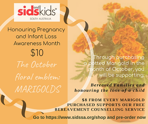 Marigolds (1).png
