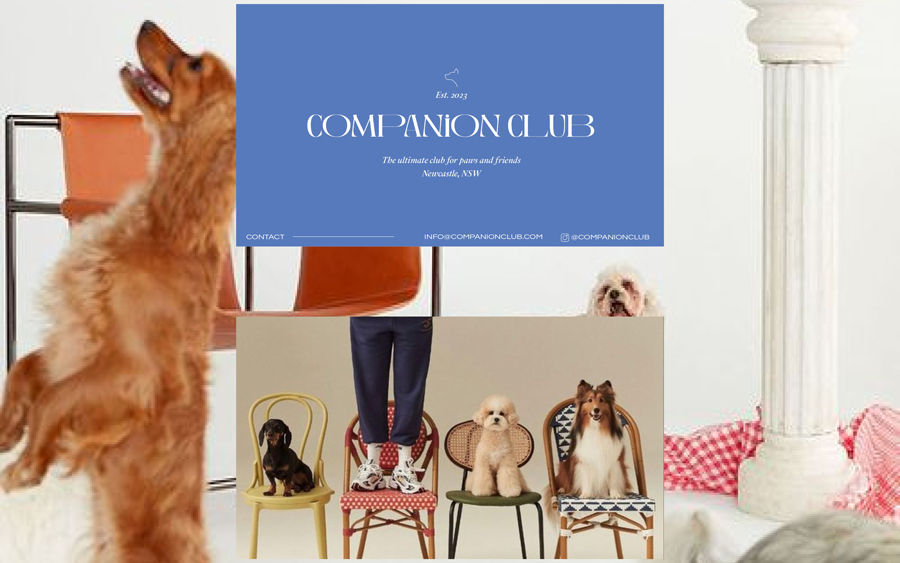 Business-card-ig.jpg
