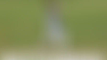 TOM MURRAY BLAZES CENTURY