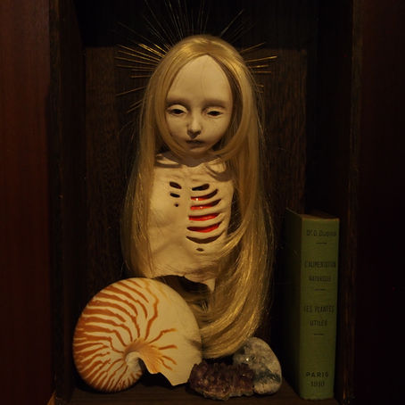 夜の博物館webショップ