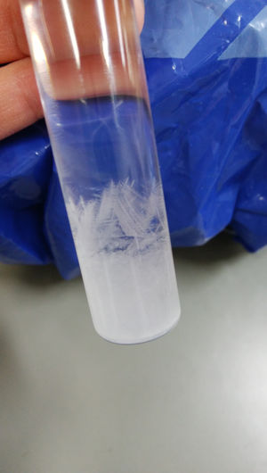 骨格標本 昆虫標本 各種標本の作製記録 骨格標本 昆虫標本 各種標本の作製記録