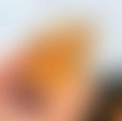 標本の赤錆を綺麗にする。