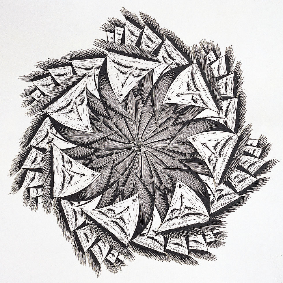 Go around 151x160cm Paper Sculpture 2005