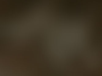 Training your Business Development Manager - the exchange visit - part 2