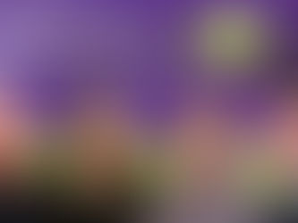 Stick or Twist? A free webinar on the ups and downs of selling your practice - next Monday evening