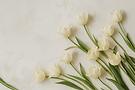 Scattered cream-colored tulips with green stems laid flat on a soft marble surface, used with a muted green overlay for background texture