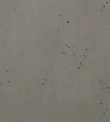 Subtle speckled texture on light grey concrete surface.