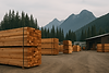 rows of cedar and fir boards at a sawmill with forested mountains beyond.