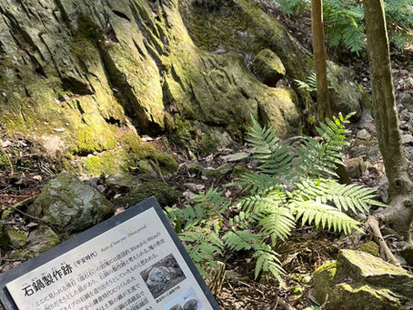 首羅山ツキイチ登山会