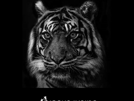 הנמרים שבתוכנו