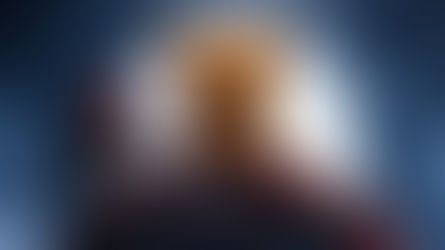 פו הדב דם ודבש