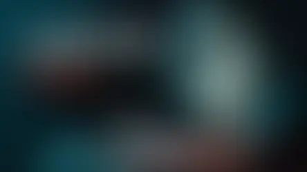 חטיפת החיילת מקו 300