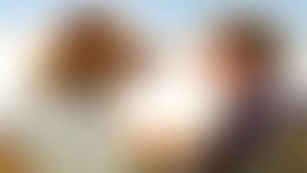 לאסי שובי הביתה