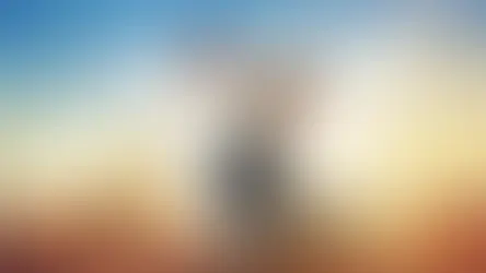 להגשים חלום