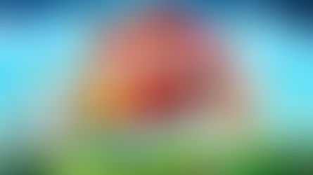 אנגרי בירדס 2