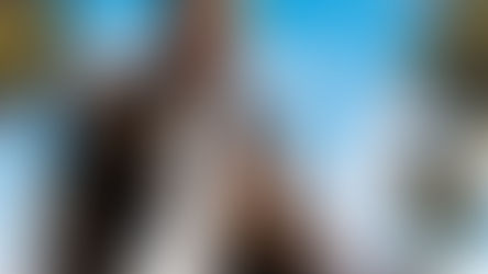 שוטרים ללא הפסקה