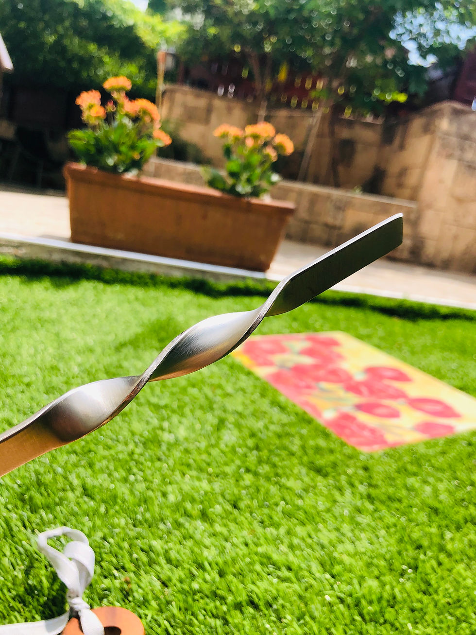 Thumbnail: שיפודים נירוסטה 304 ענקיים