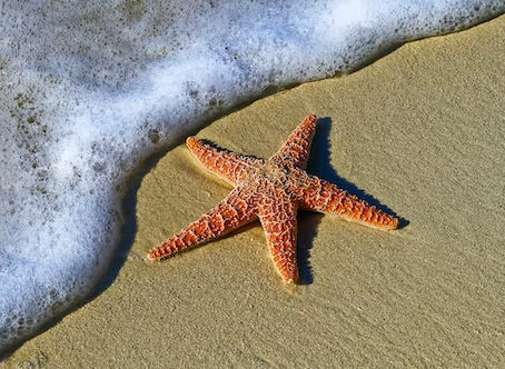 Poetry Month: Day 26