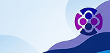 incite insight What we Do page_edited_edited.jpg
