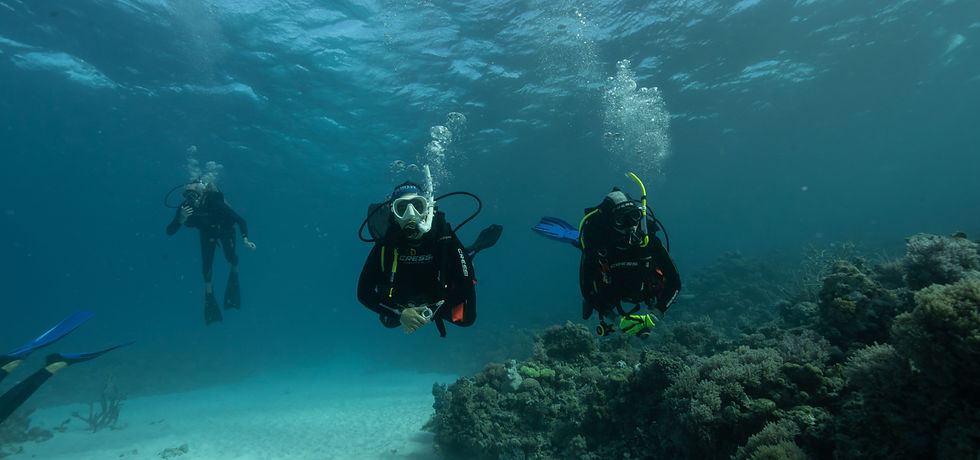 Scuba Diving with Summer Jo