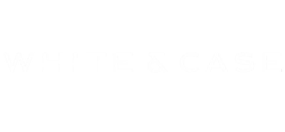 white and case standard photo.png