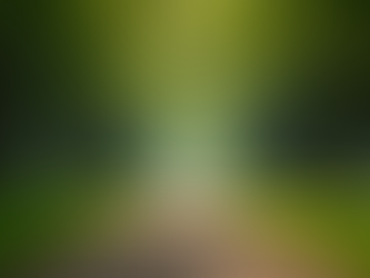 Transform Your Life with Simple Exercises: Unveiling the Secrets to Everyday Energy and Joy