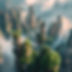 pierre-chatel-innocenti-Lk-nu_hX6ms-unsplash 2.png
