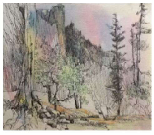 Jan Schafir: Pen and Ink Watercolor Wash.
