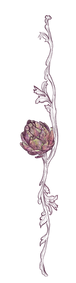 Alcachofra_Detalhe_3.png