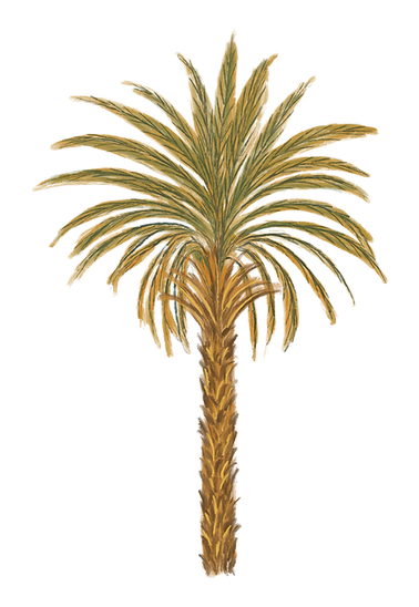 12.png