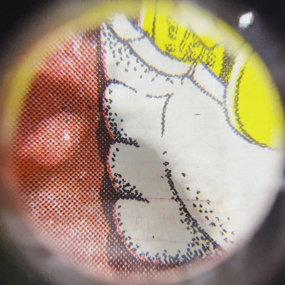 Thumbnail: Money Cat Riso