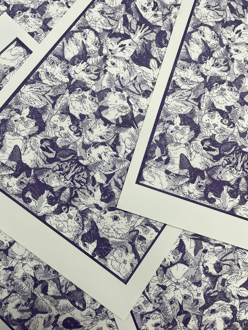 Thumbnail: Abbie Cat Riso