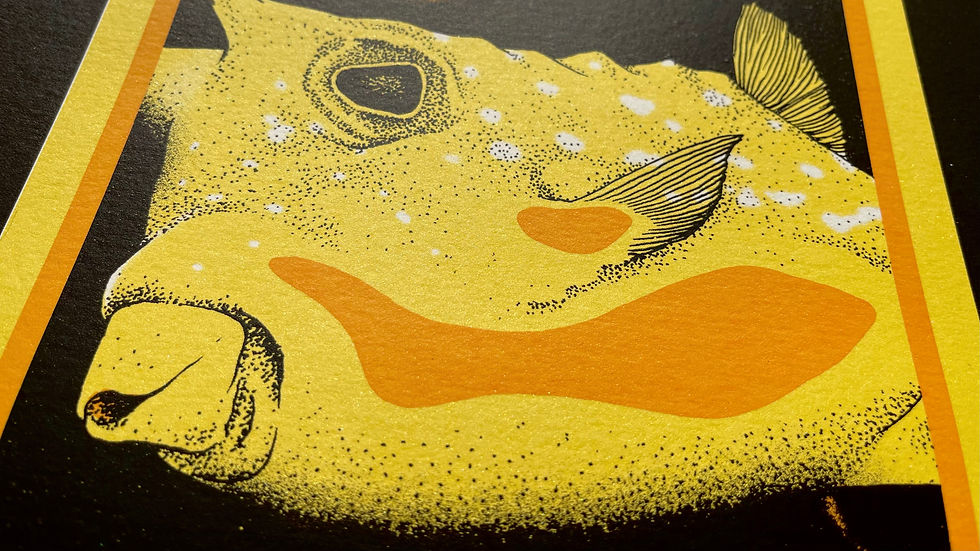 Thumbnail: Blowfish, Silk Screen