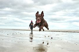 Photo Competitiion 2nd Place - Nic.jpg
