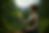 20250529_1014_Connessione Spirituale in Montagna_remix_01jwdhma29fp5t4fdx9pzk2dhm.png