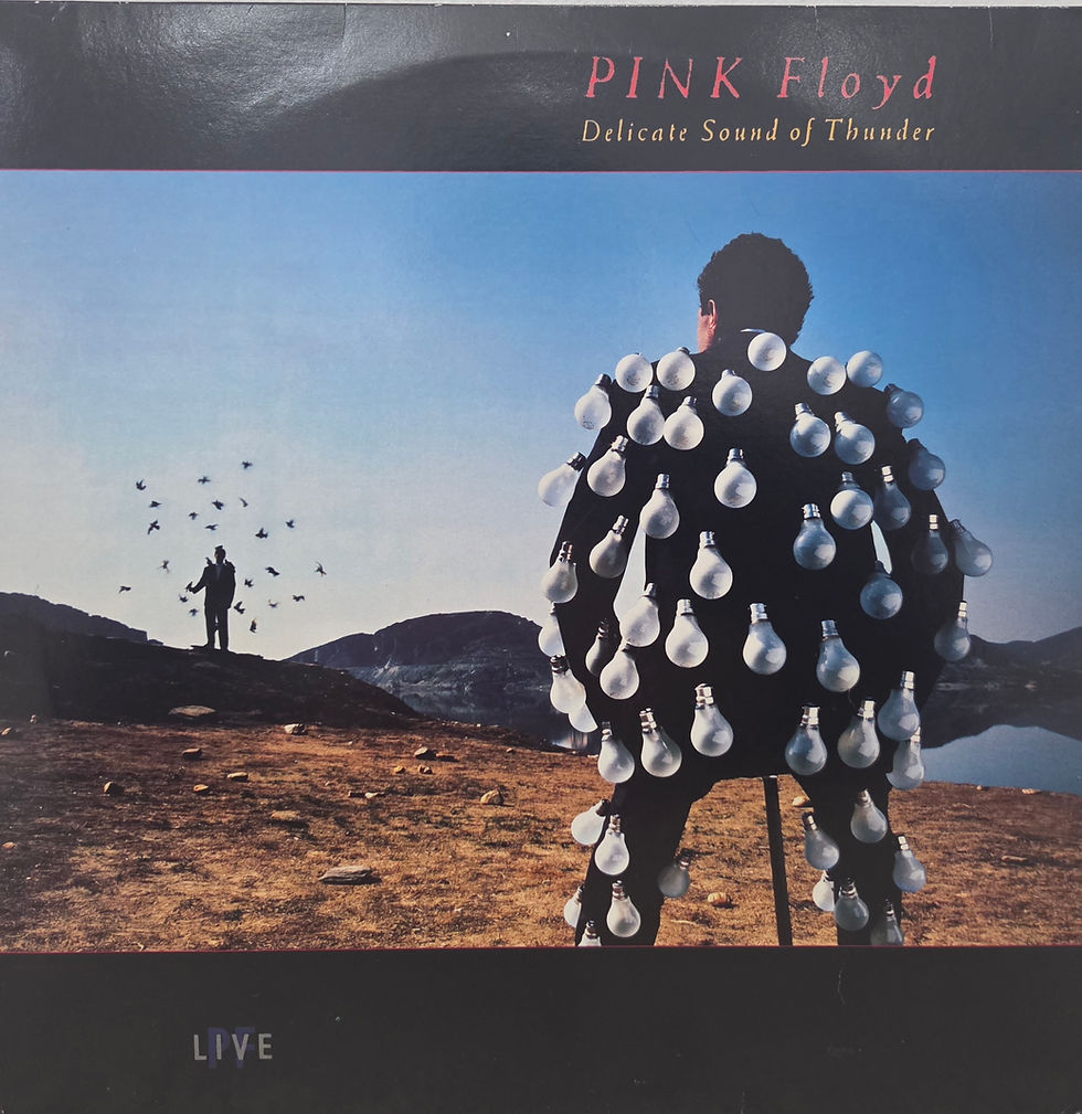 Thumbnail: Pink Floyd - Delicate Sound Of Thunder (1988) (Gatefold 2LP) (VG+)