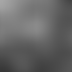 Old family photo album