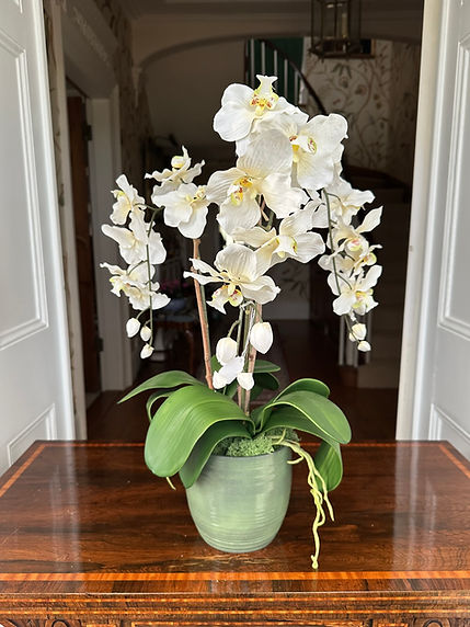 Gallery.Botanical
