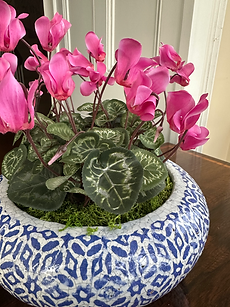 Gallery.Botanical