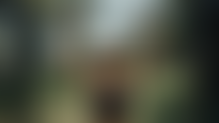 Why Calisthenics is the Future of Strength Training