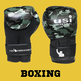 USI Mixed Martial Arts MMA Gloves