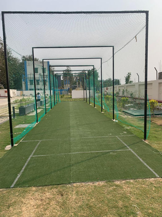 Cricket Pitch