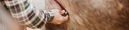 AdobeStock_233413022.jpeg
