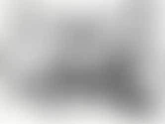 Trump the Orange: In Search of the Warrior Gene