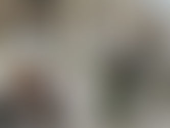 What the Walled Off Hotel Reveals About Our Liquid Times