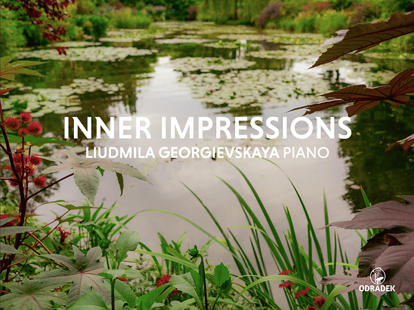 Screen Shot 2025-08-13 at 4.54.14 PM.png