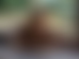 Del asueto al zoológico urbano nacional